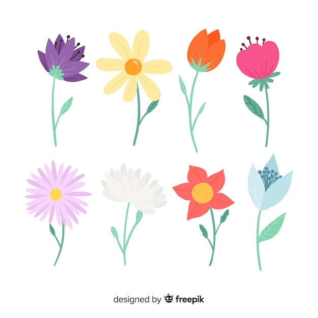 Vector flower collection