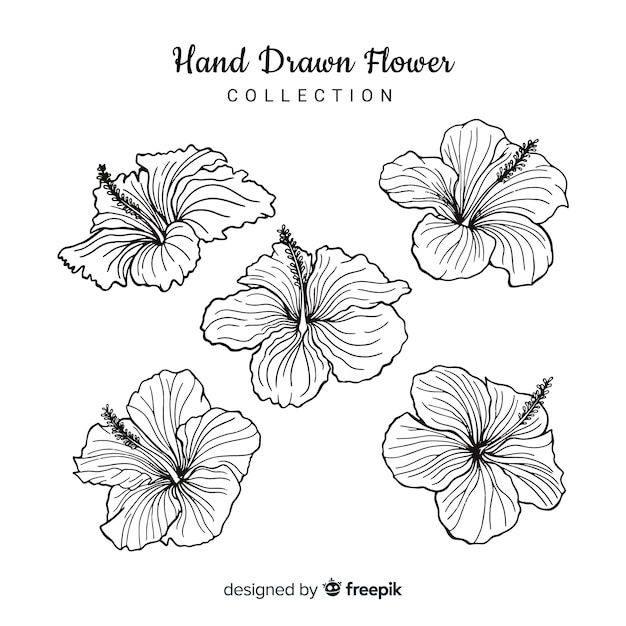 Vector flower collection