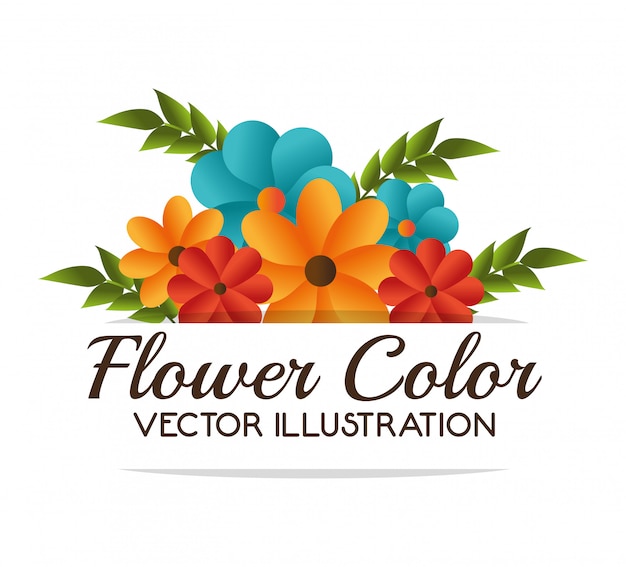 Design a colori di fiori