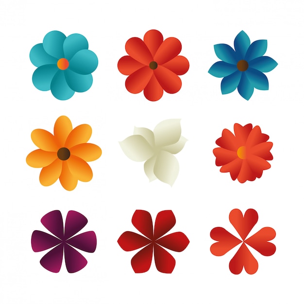 Flower color design