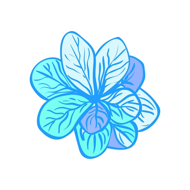 Flower colorful illustration