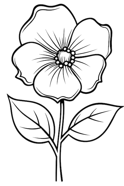 flower coloring book page outline