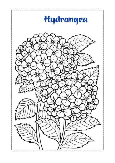 Flower coloring book