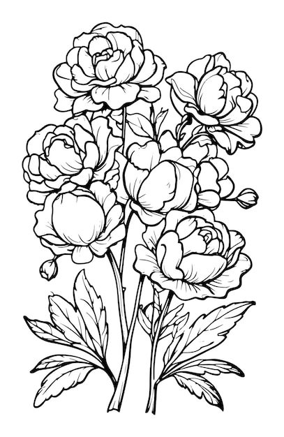 flower coloring page for adult