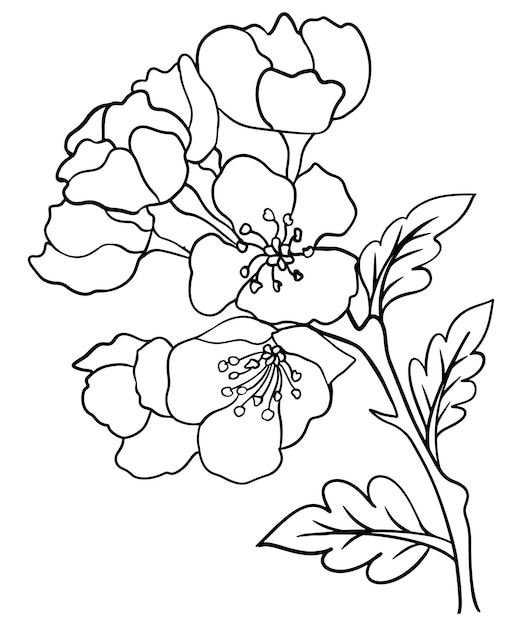 Flower coloring page for kids line art vector blank printable design for children to fill in