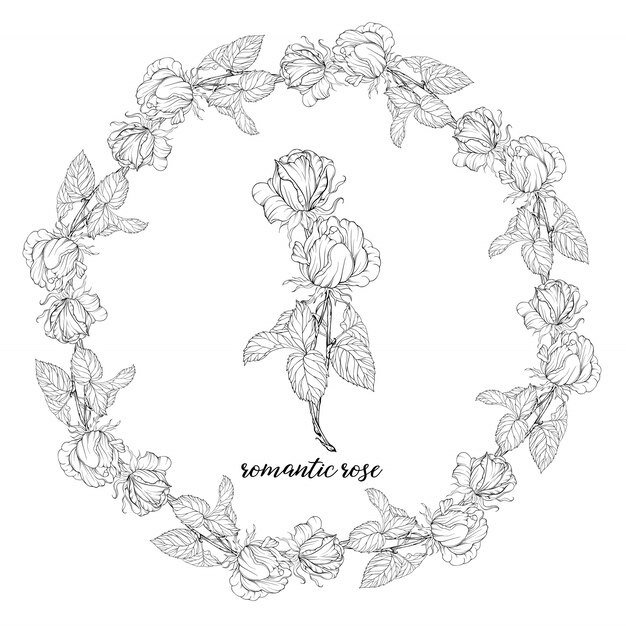 Flower compositions with rose flowers. floral wreath. rose.