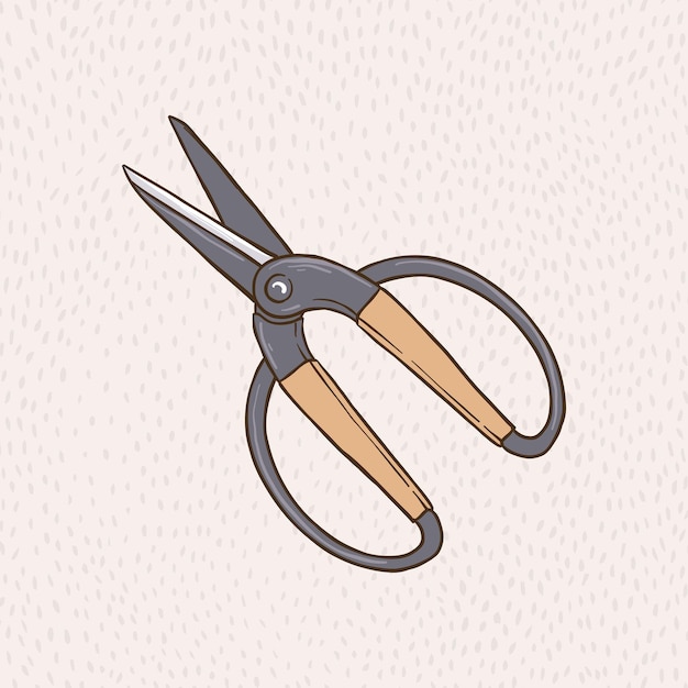 flower cutting scissors vector illustration