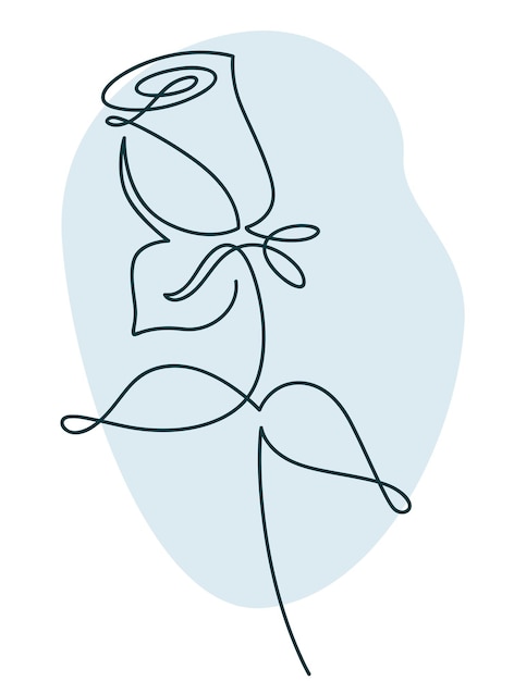 Vector flower design rose drawn in minimalist line style