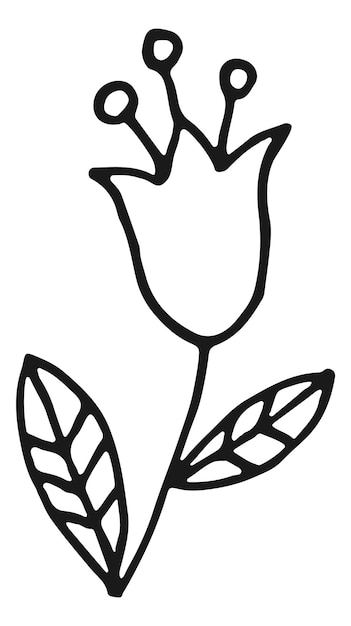 Flower doodle Floral ornament element in hand drawn style