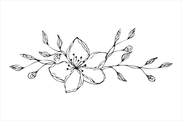 Flower doodle hand drawn floral ornament