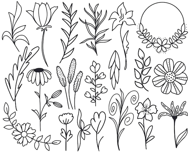 Flower doodle set vector illustration Collection of isolated botanical elements for design cards