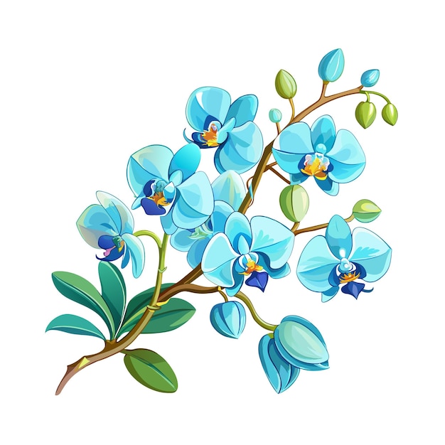 flower exotic blue orchid branch