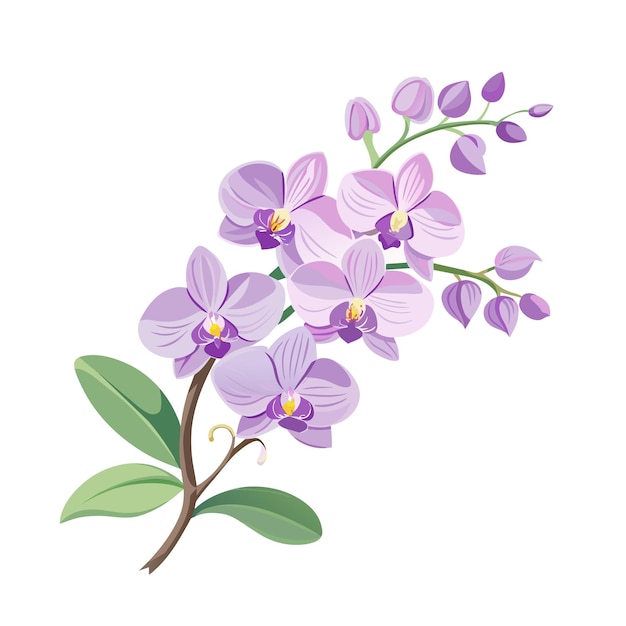 Vettore fiore ramo di orchidea di lilac esotico