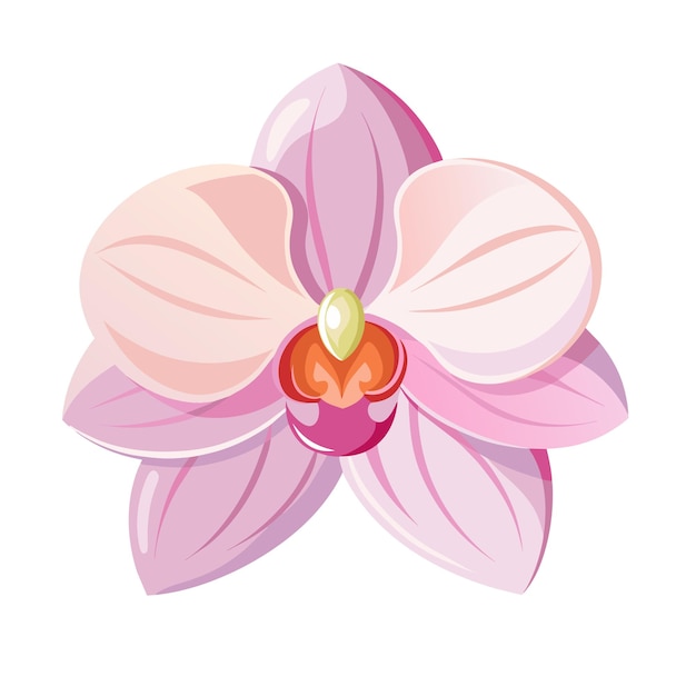 Vector flower exotic pink orchid