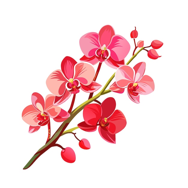 Vector flower exotic red orchid branch