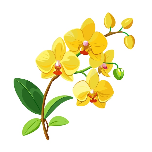 Vector flower exotic yellow orchid branch