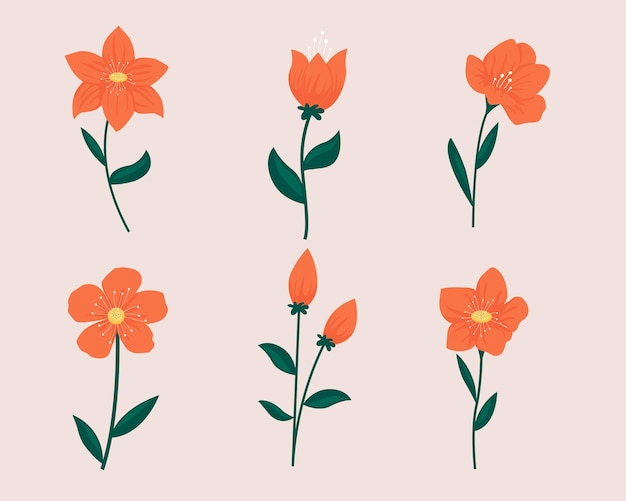 Flower floral illustration.