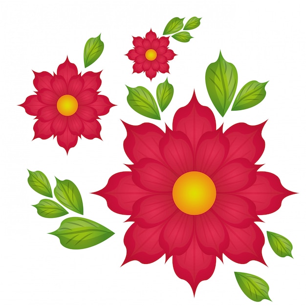 Vector flower of garden design