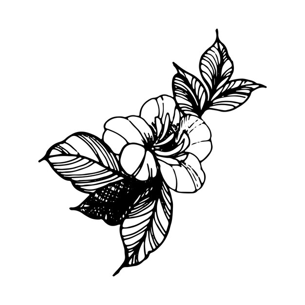 Flower graphics isolated on a white background The graphics are handdrawn in ink