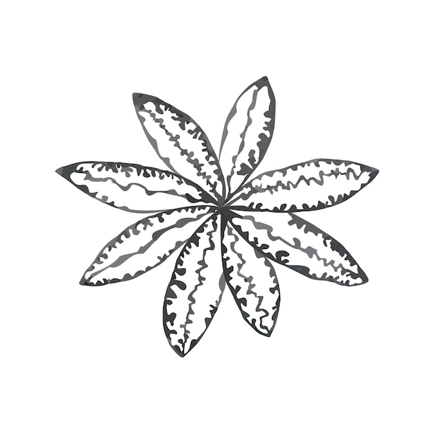 Vettore illustrazione grigia del fiore
