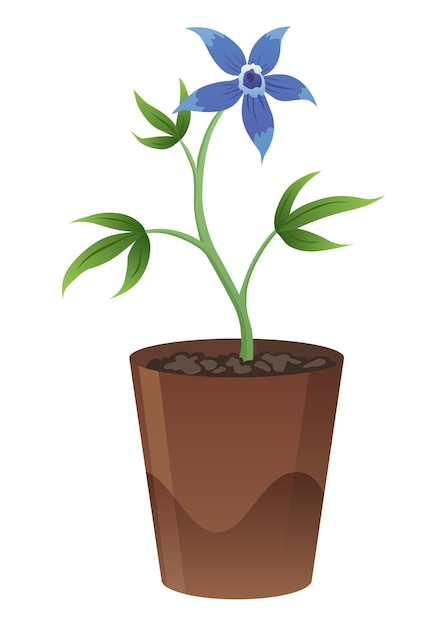 Flower growth stage in brown pot on white background Vector illustration phase blooming of small flower