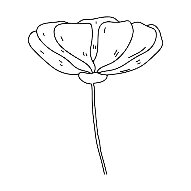 Flower in hand drawn doodle style Floral sketch isolated on white background