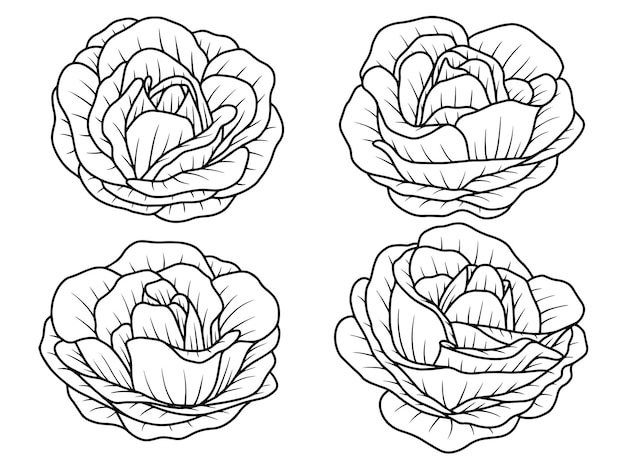 Illustrazione di arte della linea di schizzo disegnata a mano del fiore