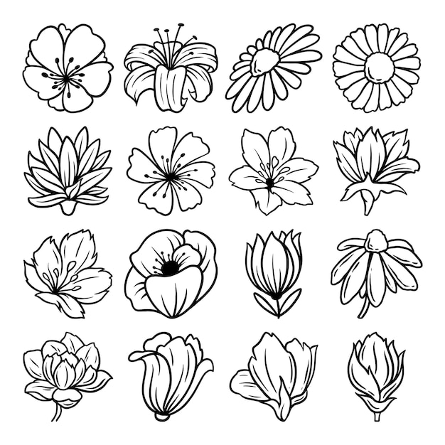 Flower hand drawn vector set