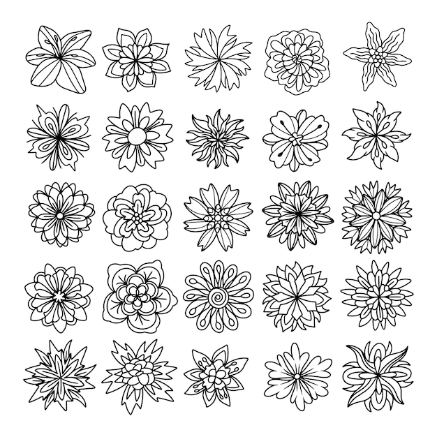 flower hand drawn vector set