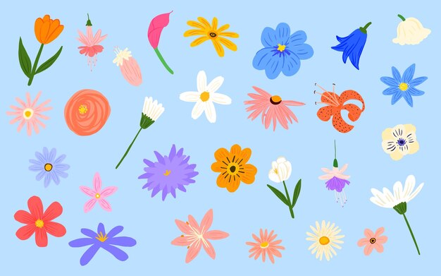 Vector flower handdrawn vector