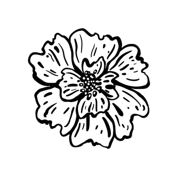 花の頭。手描きのベクトル図です。モノクロの黒と白のインクスケッチ。線画。白い背景で隔離。ぬりえ。