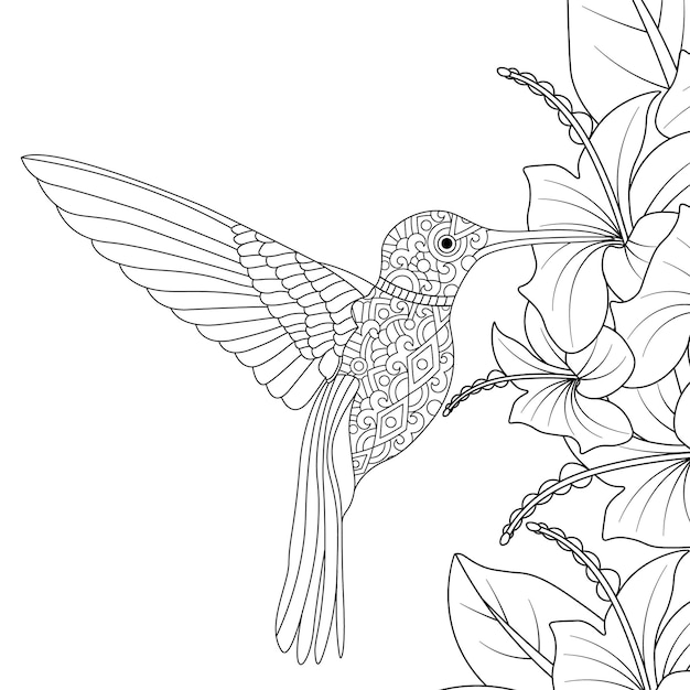 flower and hummingbird stock vector illustration coloring page isolated on white