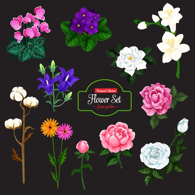 Vector flower icon of garden and house flowering plant