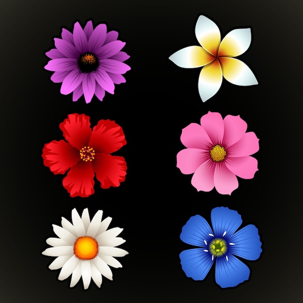 flower icon set on black background