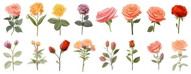 Vector flower icons set collection of colorful flowers various flowers in flat design