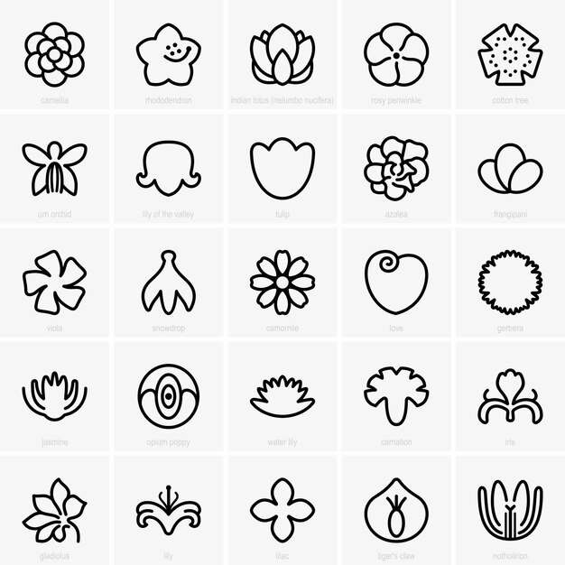 Vector flower icons