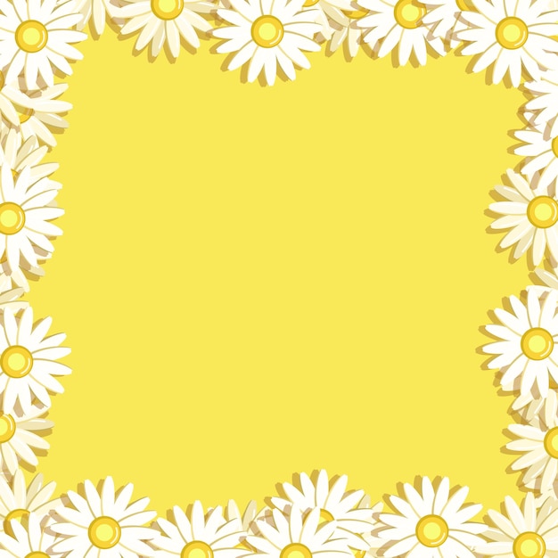 Flower illustration frame pattern background