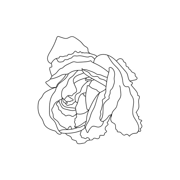Flower illustration. Vector design element.