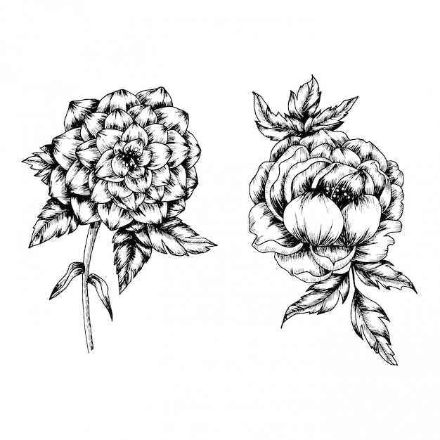 Flower and leaf in vintage style