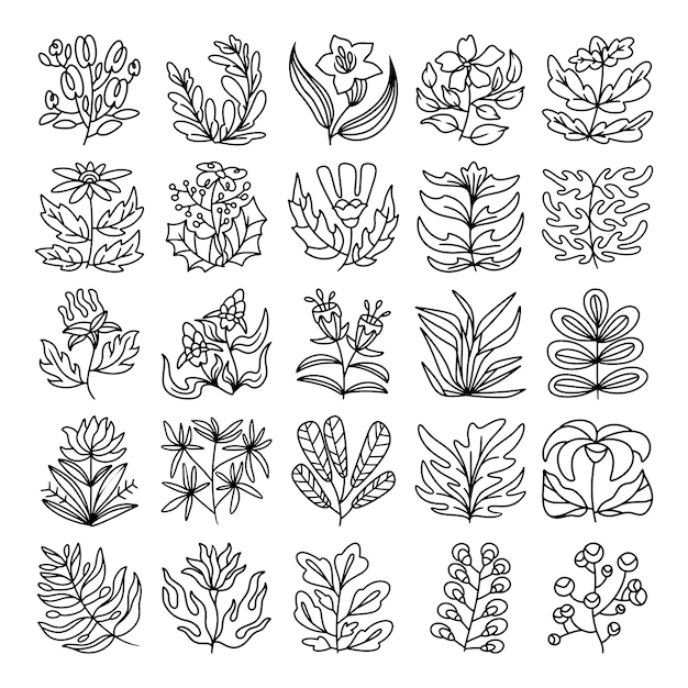 Flower and leaves hand drawn vector