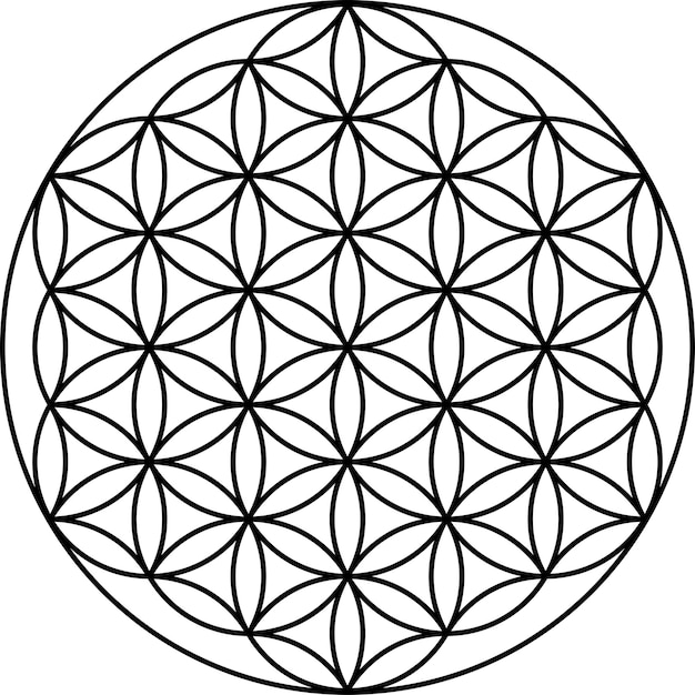 Flower of life symbol isolated on white background