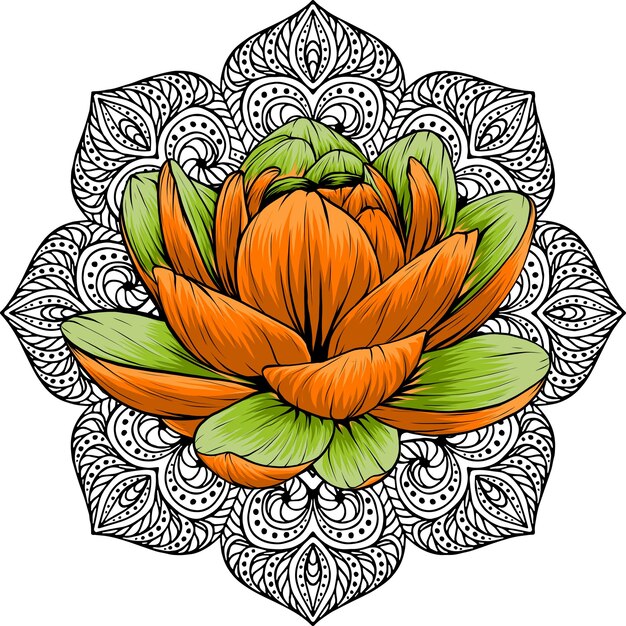 Вектор Дизайн векторной иллюстрации цветка лили лотоса