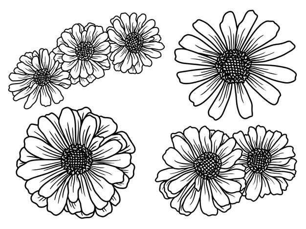 Flower line art arrangement