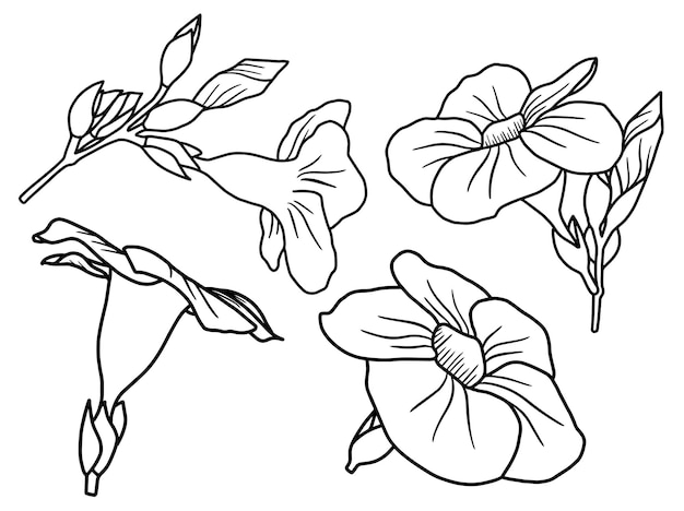 Flower line art arrangement