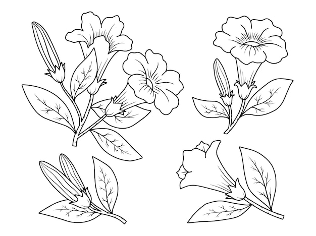 Flower line art arrangement