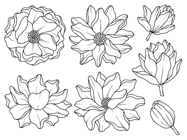 Flower line art arrangement