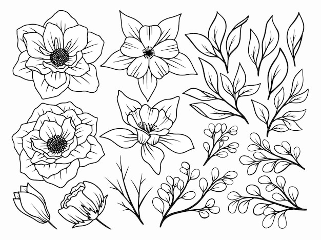 Vector flower line art arrangement