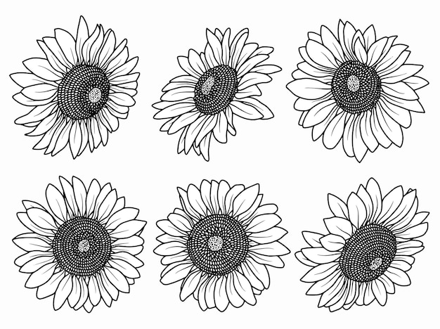Flower line art arrangement