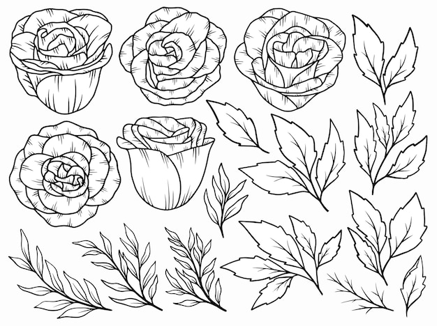 Flower line art arrangement