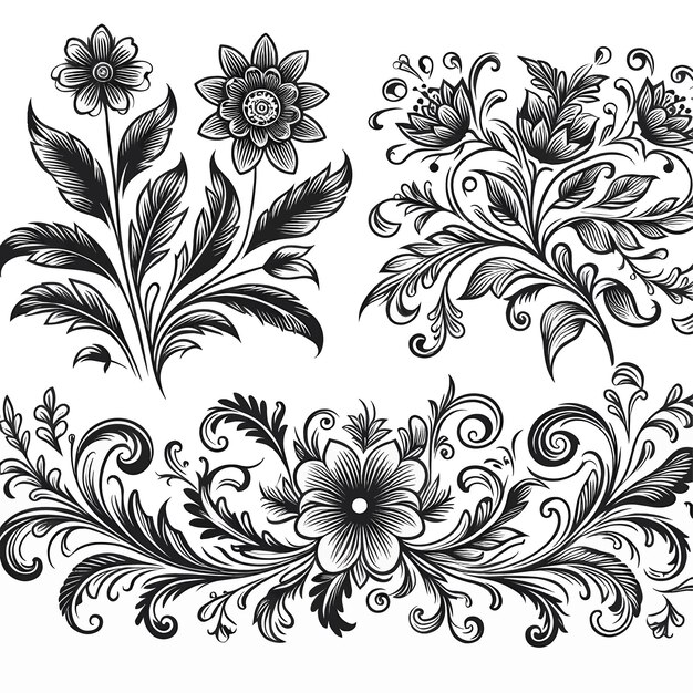 Vector flower line art floral elements illustration